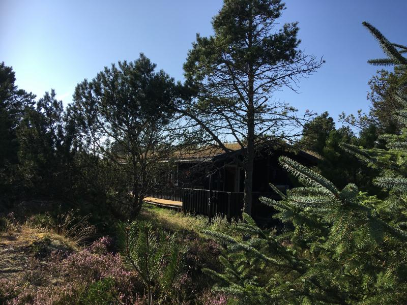 Sommerhus. Perle med super beliggenhed. Skiveren tt p Skagen.177