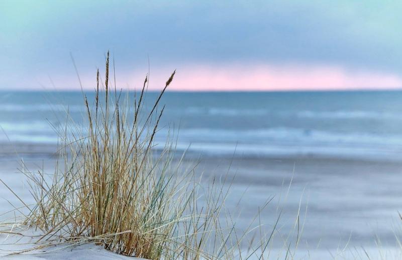 Blokhus. Lkkert brnevenligt sommerhus kun 100 m fra stranden192