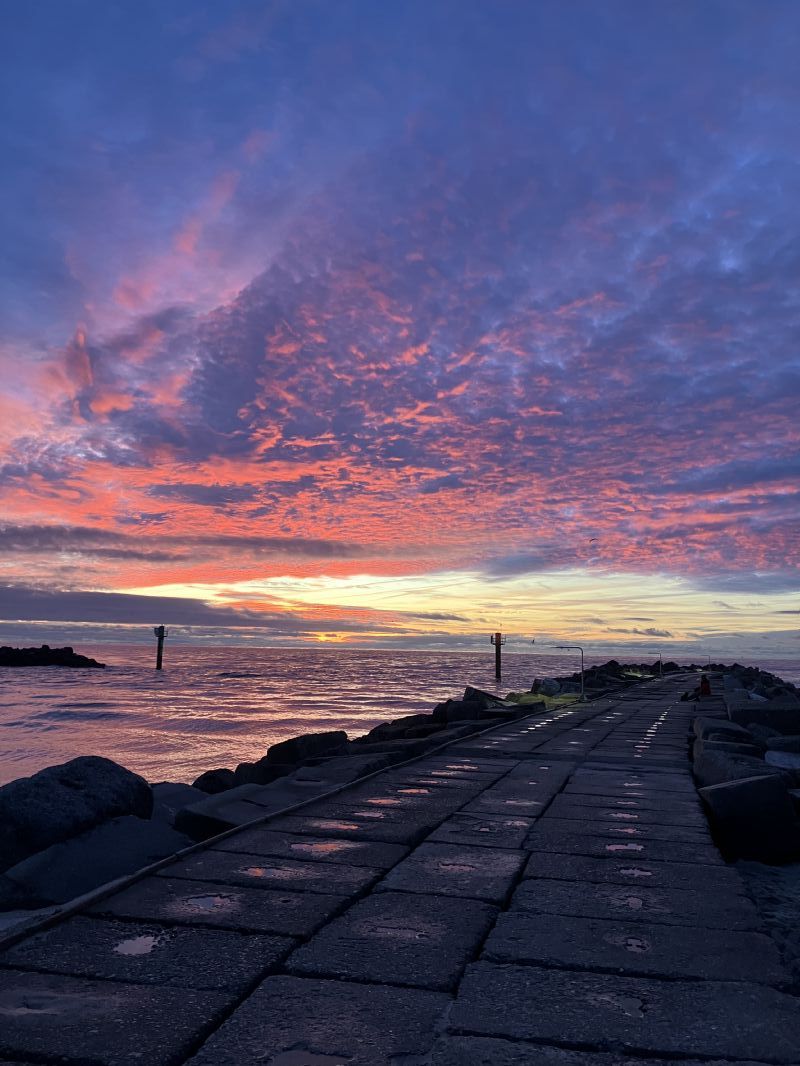 Sommerhusidyl i frste klitrkke ved Vesterhavet
 929