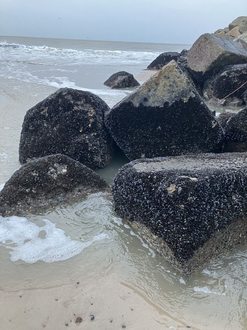 Sommerhusidyl i frste klitrkke ved Vesterhavet
 929