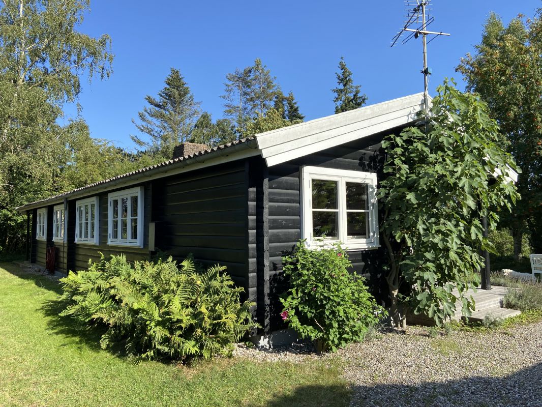 BJLKEHUSIDYL P SVIN, SOMMERHUS P SYDSJLLAND160